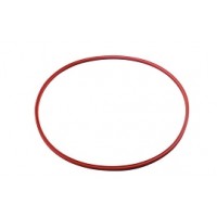 DCI Door Seal (QUAD Ring) - for Chemiclave 6000, 8000 and Aquaclave 30 (OEM#260006701) 